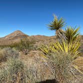 Review photo of Old Kingman Highway Dispersed Camping near Bullhead City by marycatmathis  .., September 9, 2020