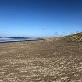 Review photo of South Beach State Park Campground by Jeff K., September 9, 2020