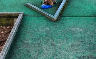Chris C.'s photo of camping with pets at Hueston Woods State Park Campground near New Castle, IN