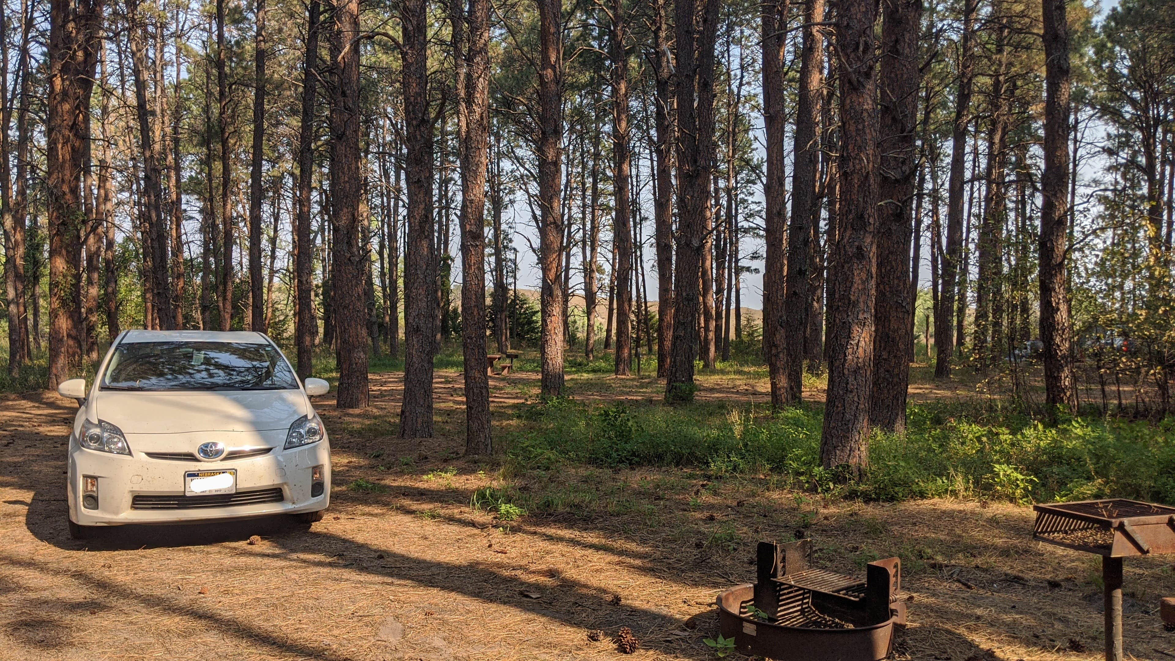 Steer Creek Campground: Nebraska's Hidden Gem