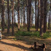 Review photo of Steer Creek Campground by Katharine H., September 9, 2020