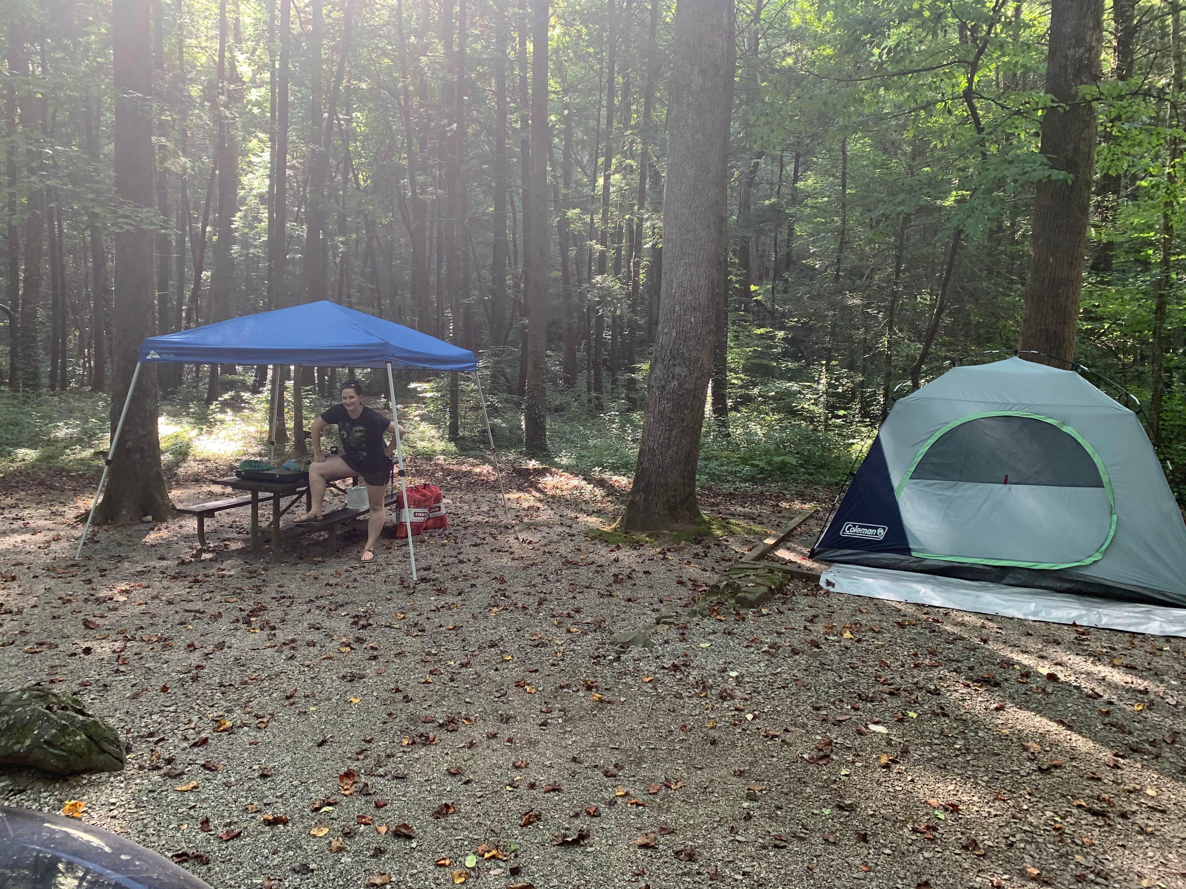 Phil K.'s photo at Desoto Falls near Suches, GA