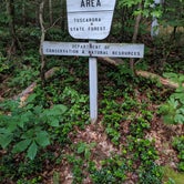 Review photo of Little Buffalo State Park Campground by Christopher E., September 10, 2020