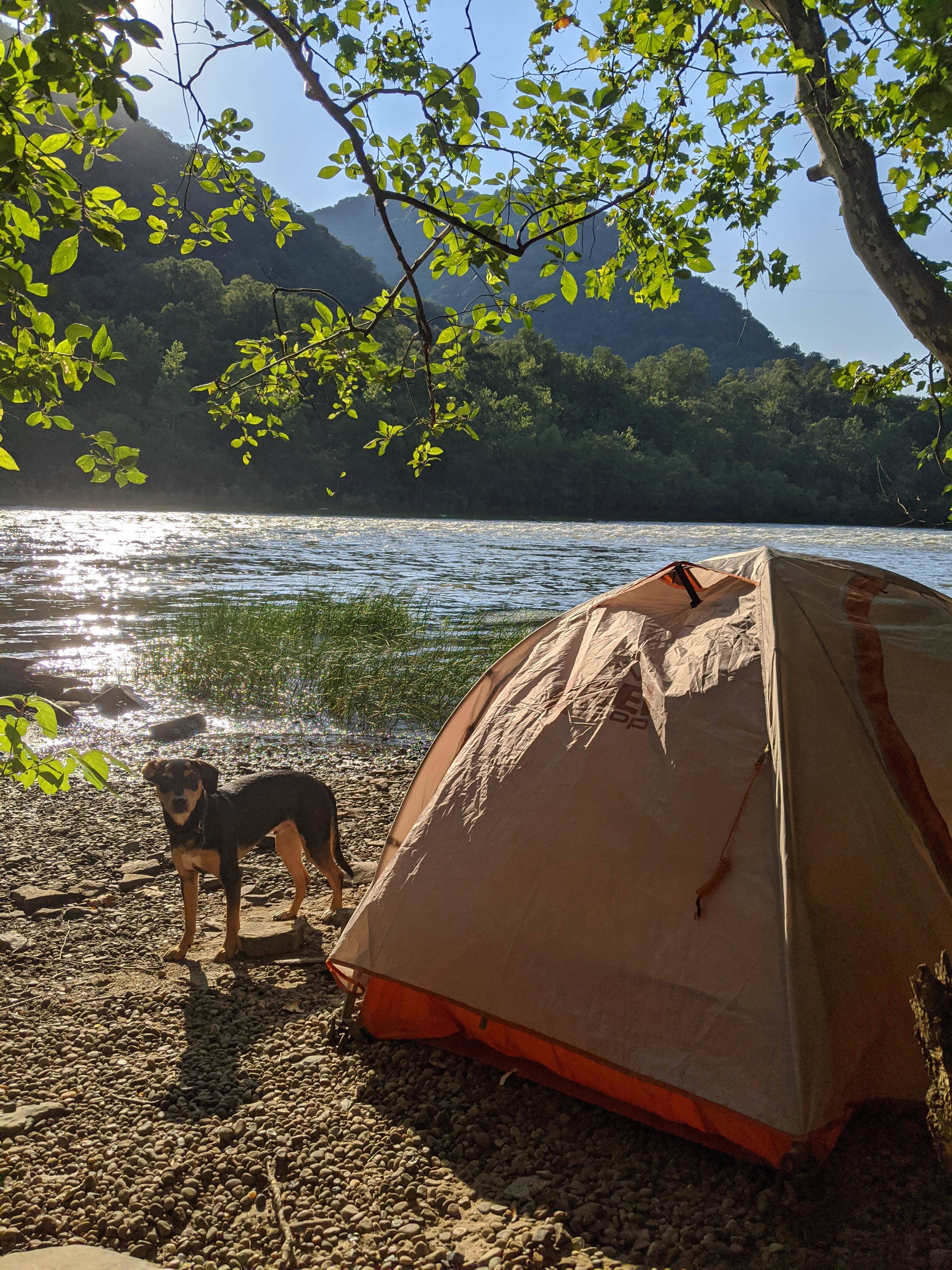 Dillon's photo of tent camping at Stone Cliff Campground — New River Gorge National Park and Preserve near Lake, WV