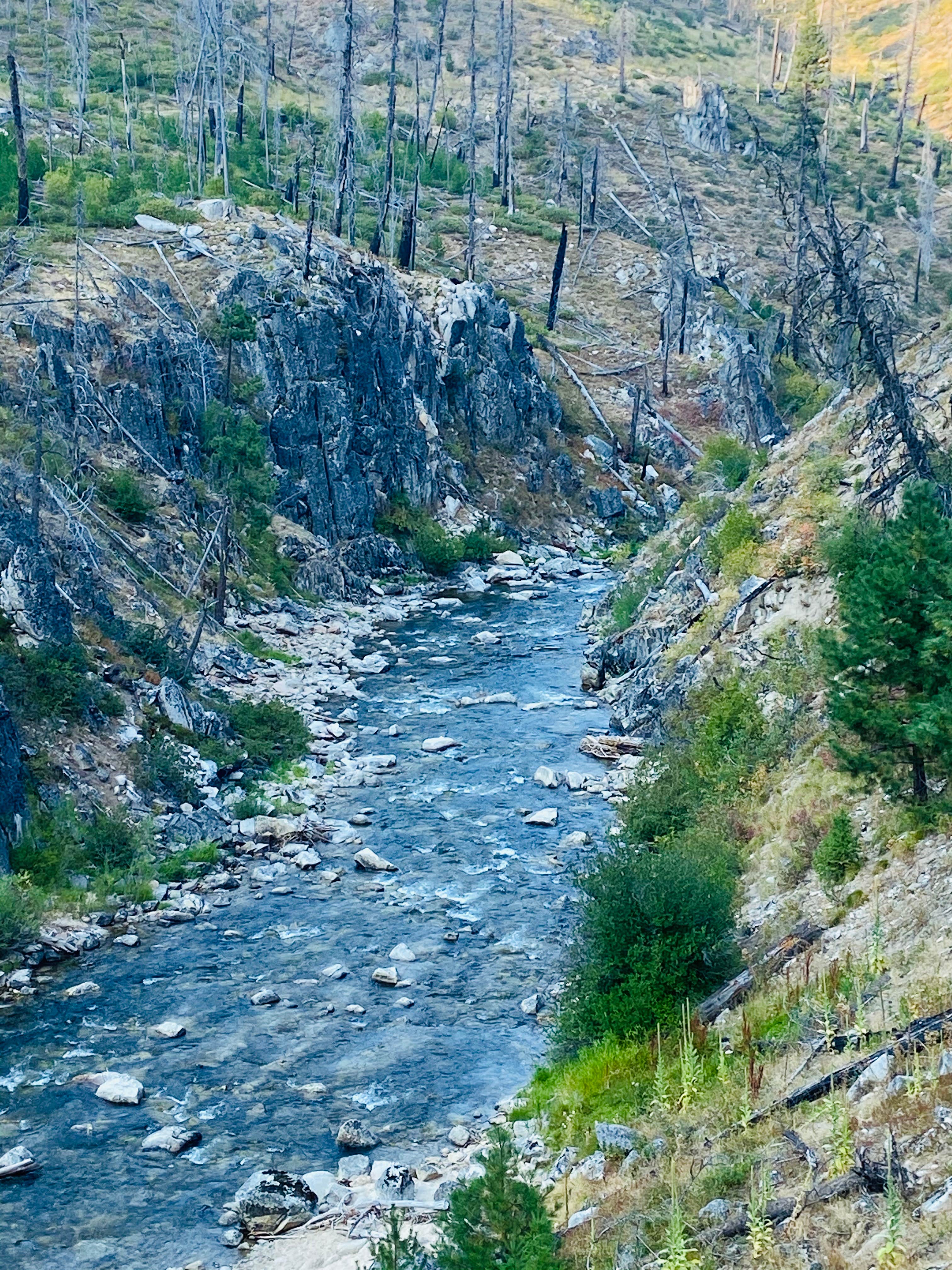 Camper-submitted photo at Penny Spring Campground near Donnelly, ID