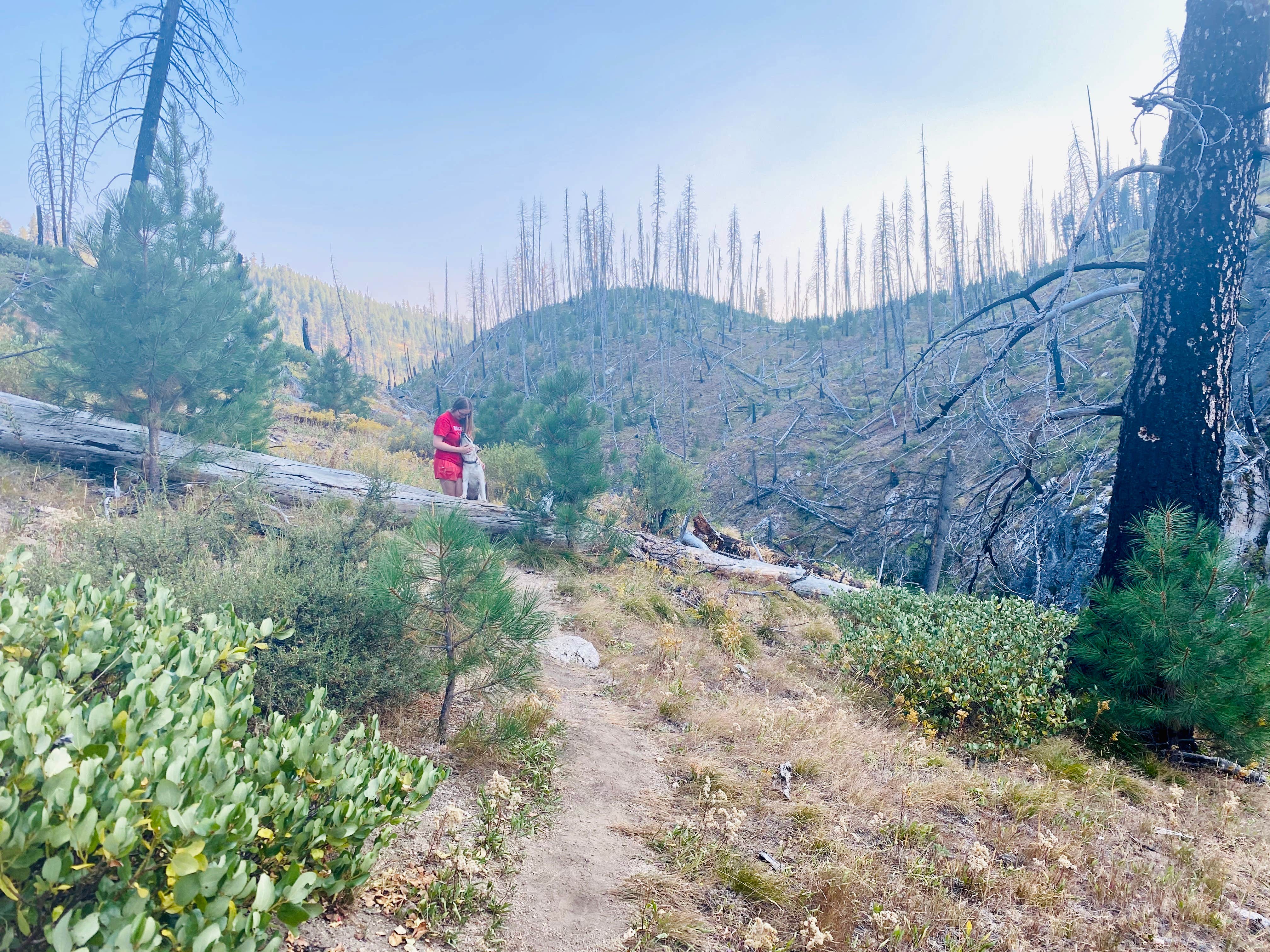 Camper-submitted photo at Penny Spring Campground near Donnelly, ID