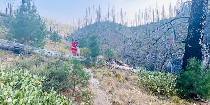 Camper submitted image from Penny Spring Campground