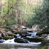 Review photo of Cosby Campground — Great Smoky Mountains National Park by Annie B., May 16, 2018