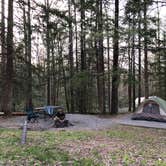 Review photo of Cosby Campground — Great Smoky Mountains National Park by Annie B., May 16, 2018