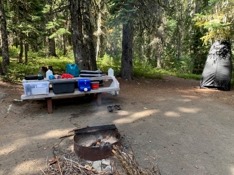Camper submitted image from Killen Creek - 5