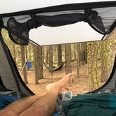 Review photo of Butte Creek Campground by Mark R., September 10, 2020