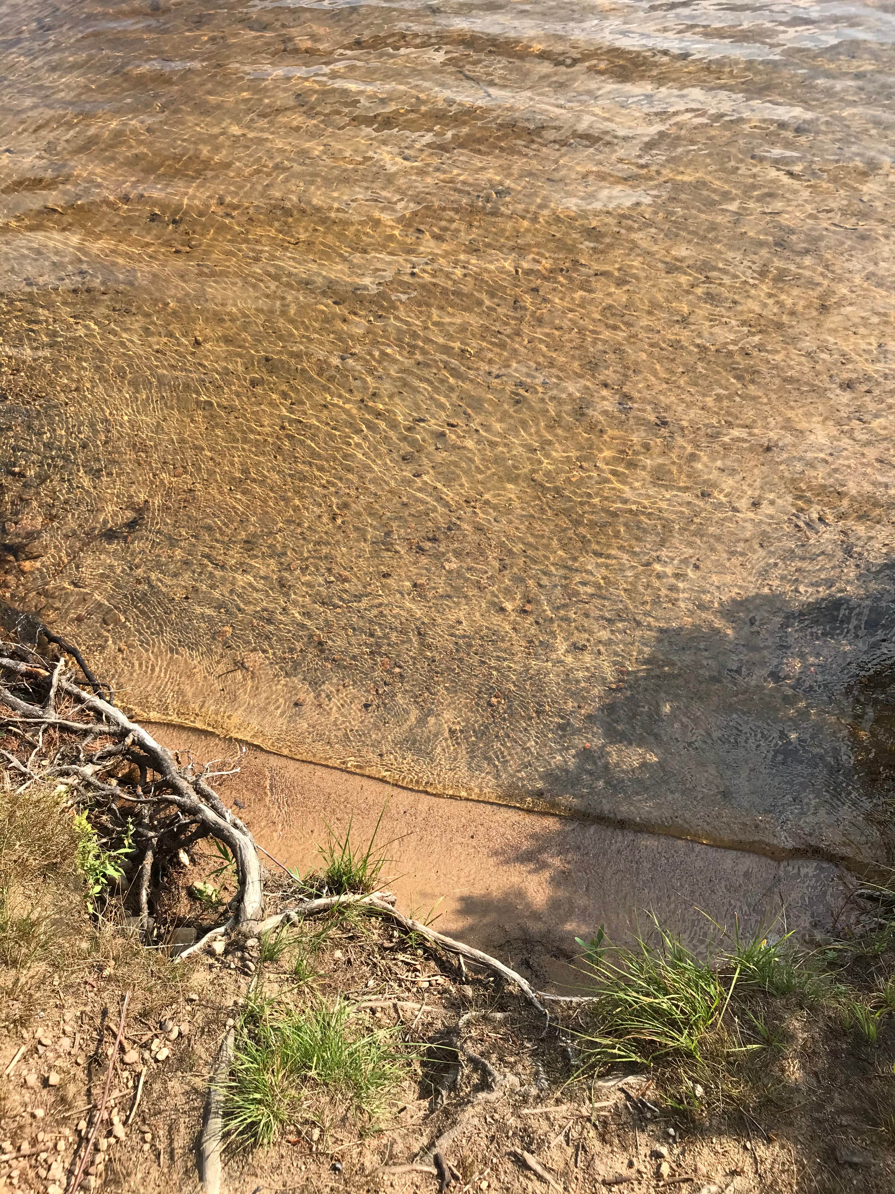 Camper-submitted photo at Francis Lake near Woodgate, NY