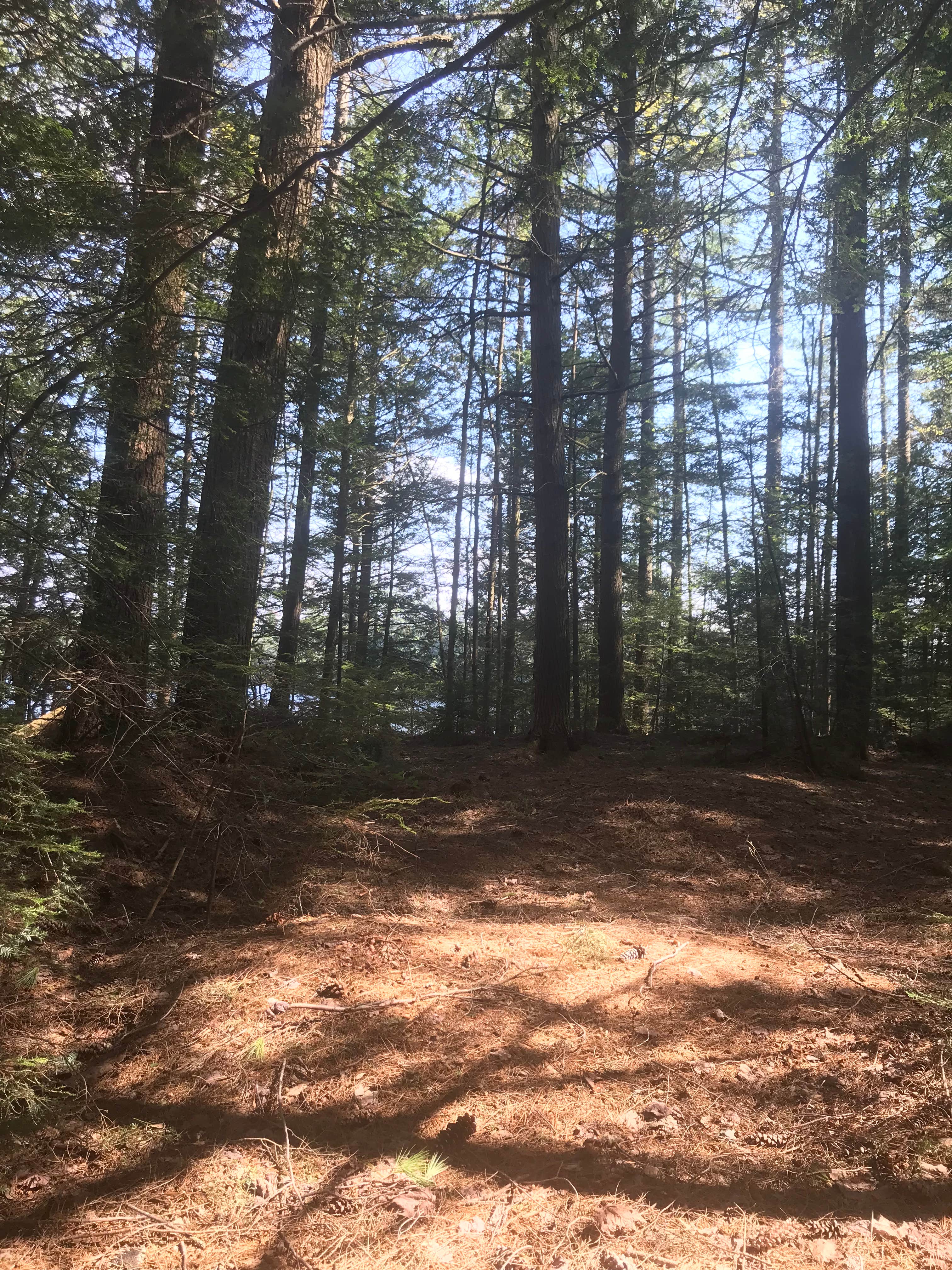 Camper-submitted photo at Francis Lake near Woodgate, NY