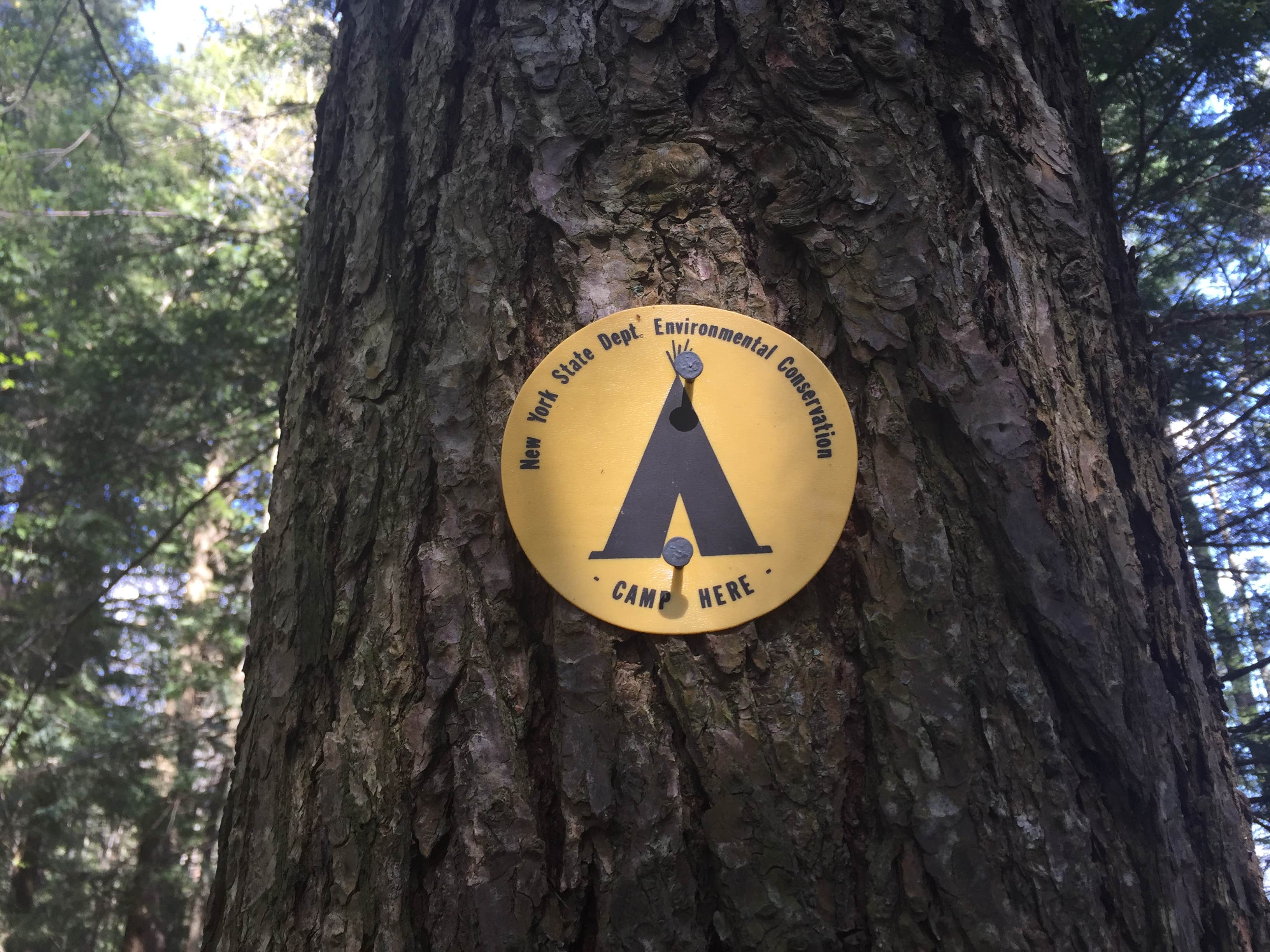 Camper-submitted photo at Francis Lake near Woodgate, NY