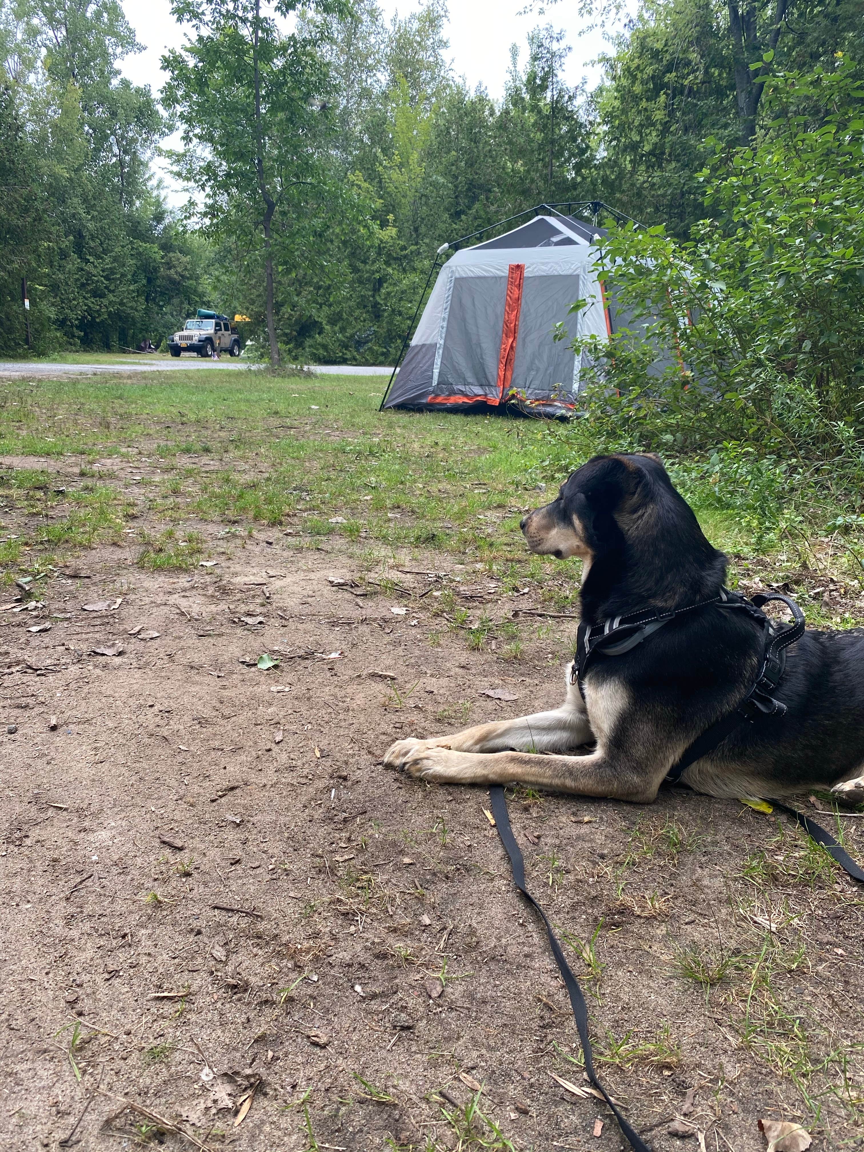 Amanda's photo at Golden Beach Campground near Blue Mountain Lake, NY