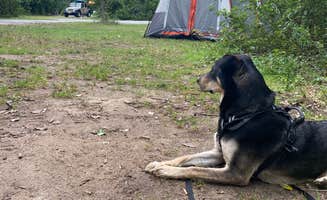 Amanda's photo at Golden Beach Campground near Speculator, NY