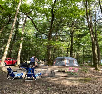 Camper-submitted photo from Lake Taghkanic State Park Campground