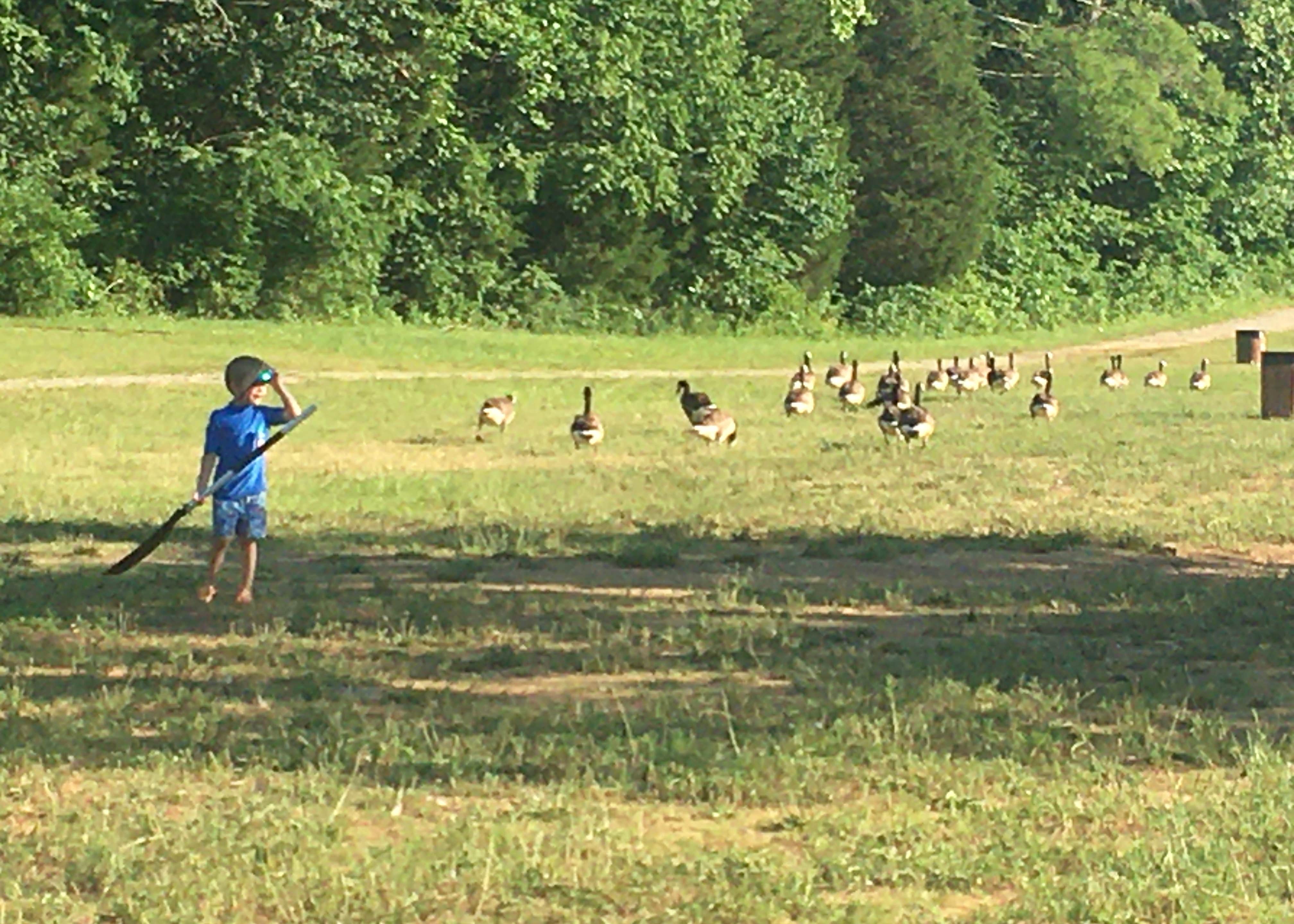 Camp Carlson Army RV Park Camping The Dyrt