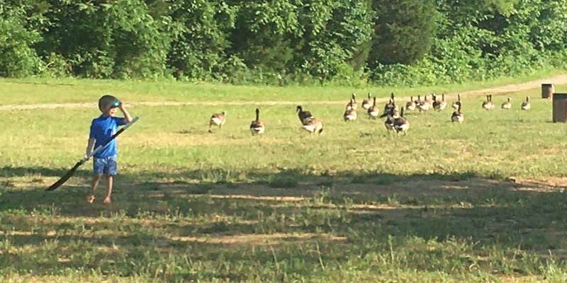 Camper submitted image from Camp Carlson Army RV Park