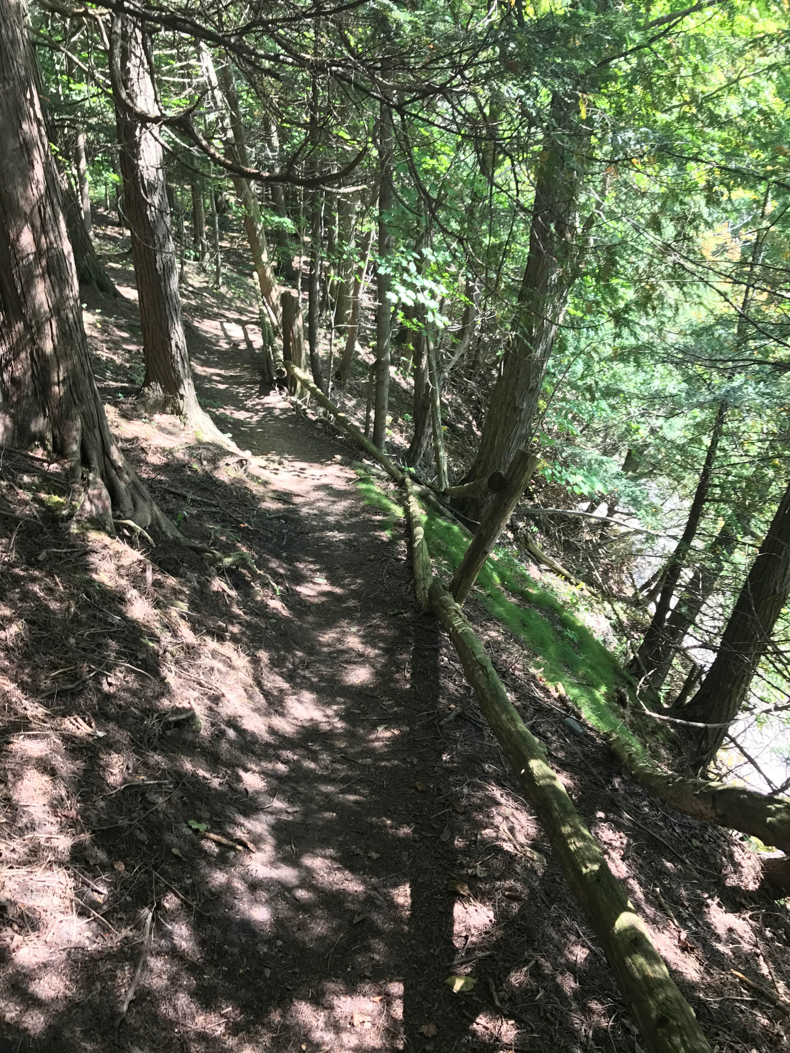 Camper submitted image from Whitaker Falls Park - 2