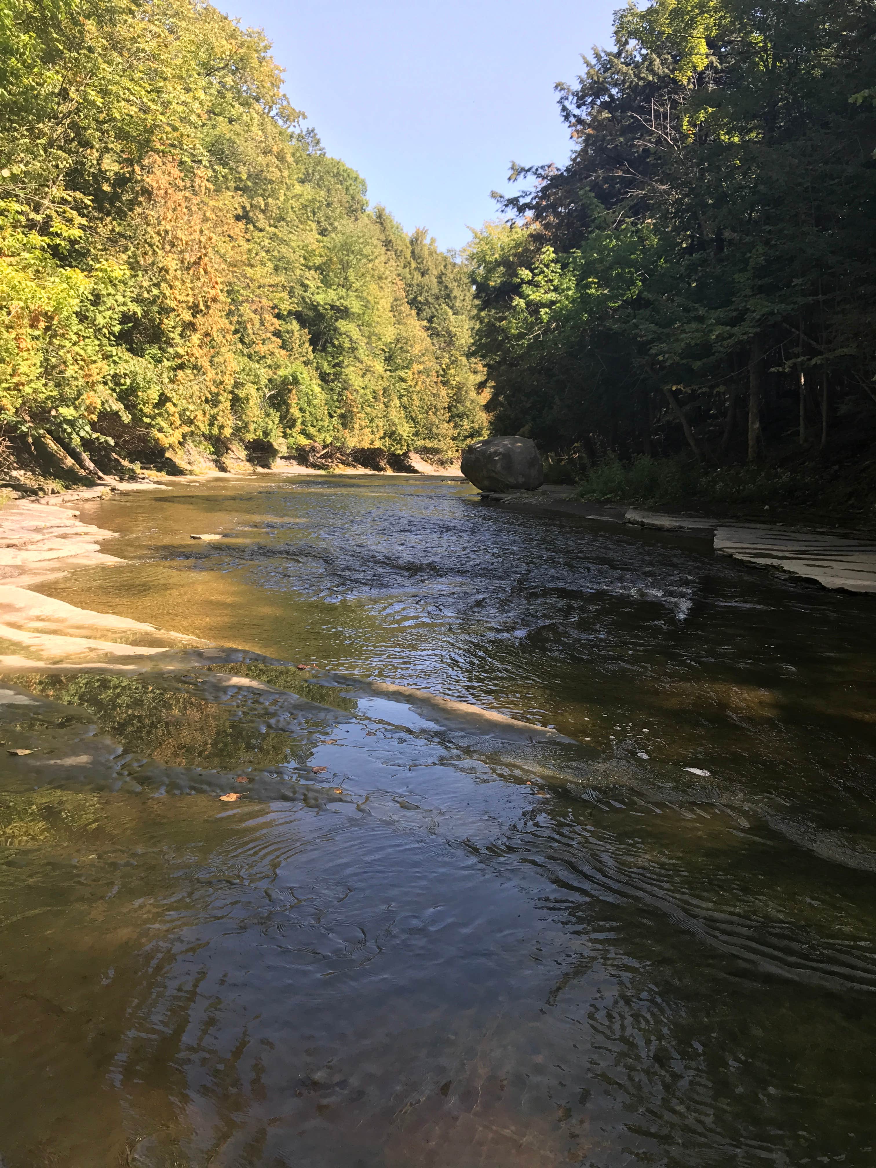 Camper submitted image from Whitaker Falls Park - 3