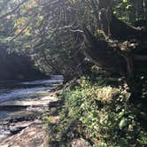 Review photo of Whitaker Falls Park by Elizabeth B., September 10, 2020