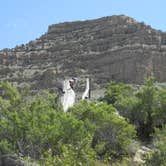 Review photo of Island Acres Section Camping — James M. Robb Colorado River State Park by Troy L., May 16, 2018