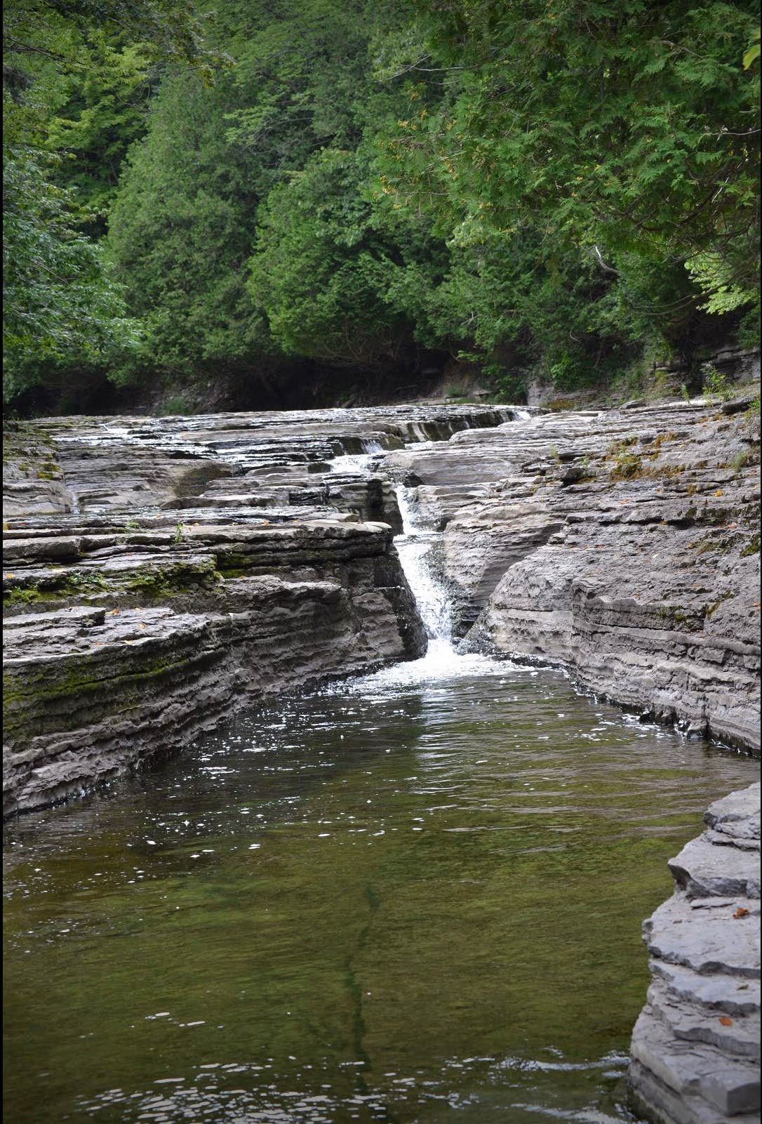 Camper-submitted photo at Whitaker Falls Park near Copenhagen, NY