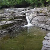 Review photo of Whitaker Falls Park by Elizabeth B., September 10, 2020