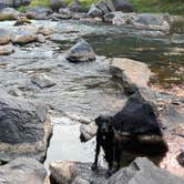 Review photo of BLM Wild Rivers Recreation Area by Teresa J., September 10, 2020