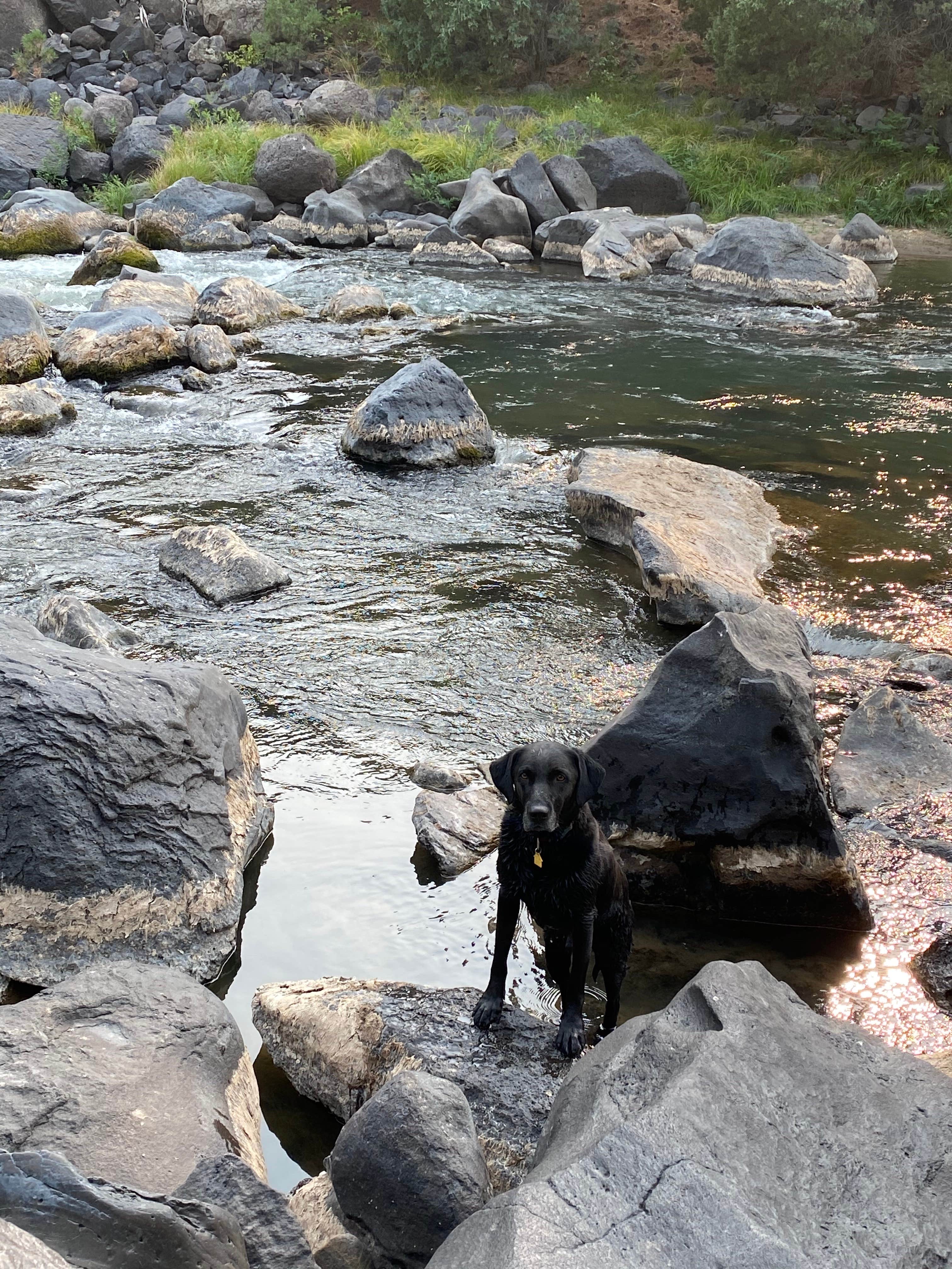 Camper submitted image from BLM Wild Rivers Recreation Area - 3