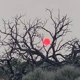 Review photo of BLM Wild Rivers Recreation Area by Teresa J., September 10, 2020