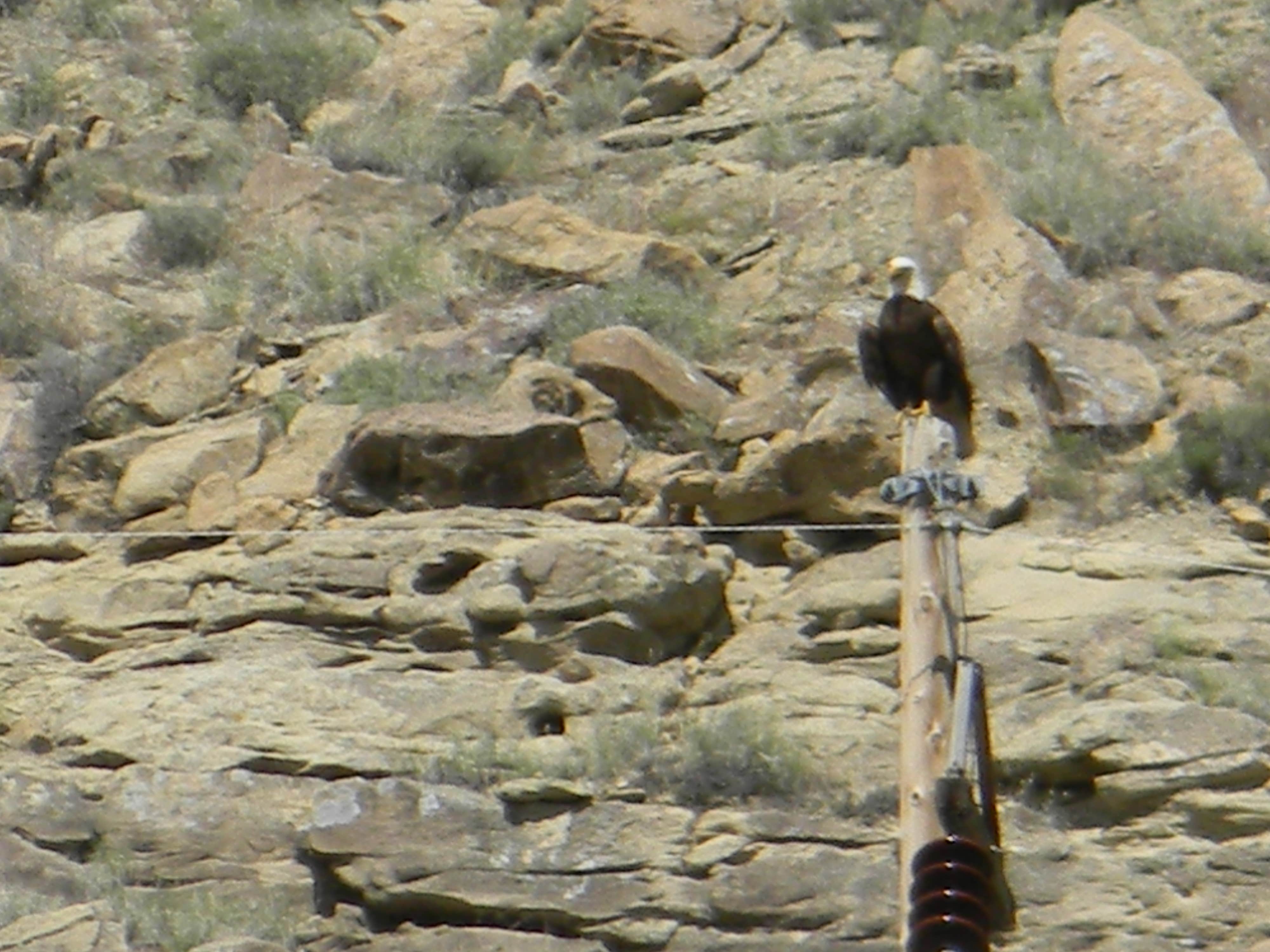Camper-submitted photo at Island Acres Section Camping — James M. Robb Colorado River State Park near Grand Junction, CO