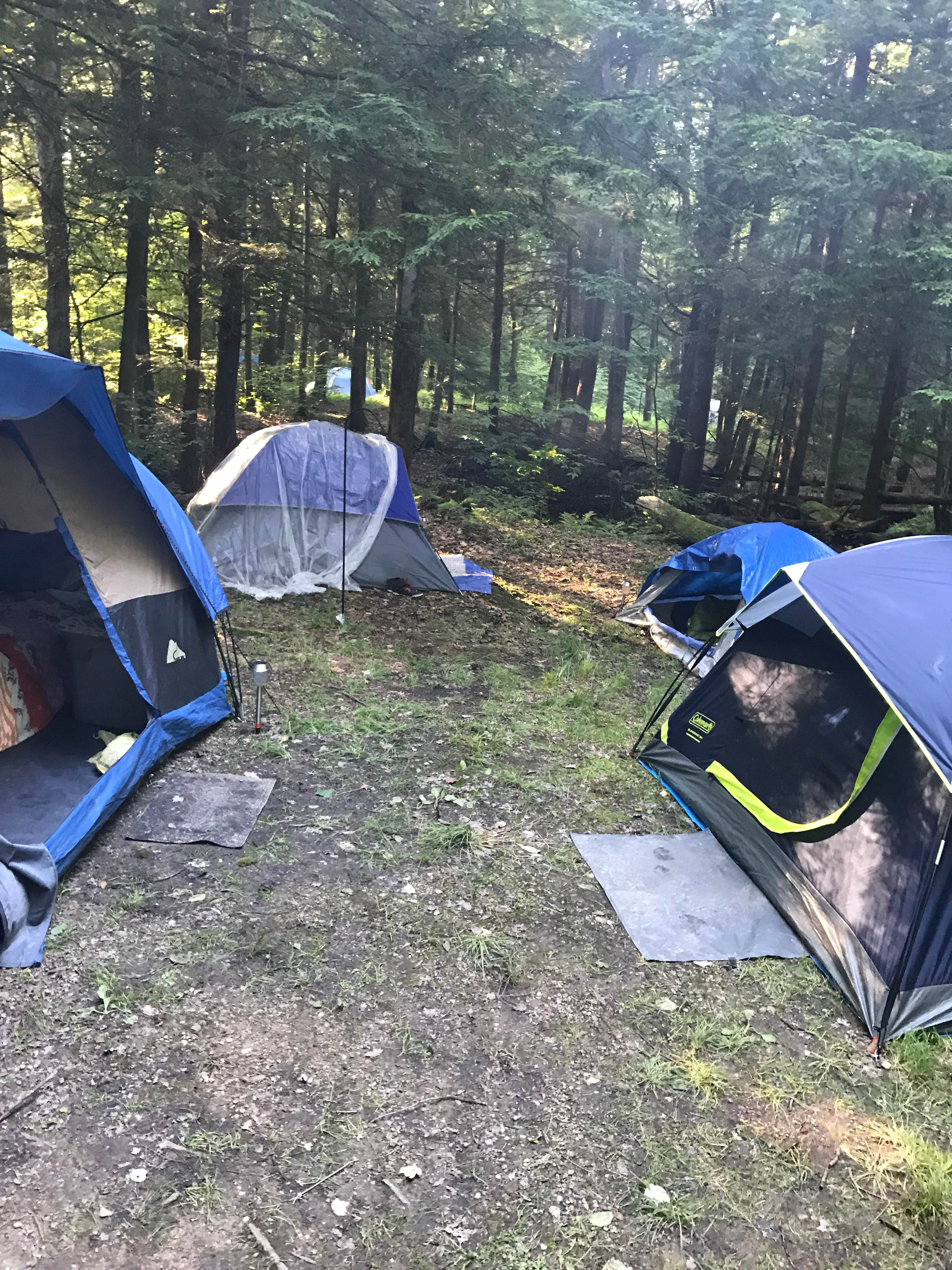 Michelle E.'s photo at Chapman State Park Campground near Panama, NY