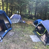 Review photo of Chapman State Park Campground by Michelle E., May 16, 2018