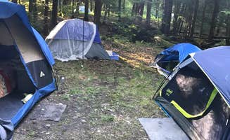 Michelle E.'s photo at Chapman State Park Campground near Corry, PA