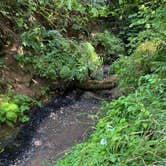 Review photo of Rainbow Falls State Park Campground by Kirstin K., September 10, 2020