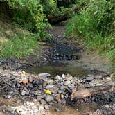 Review photo of Rainbow Falls State Park Campground by Kirstin K., September 10, 2020