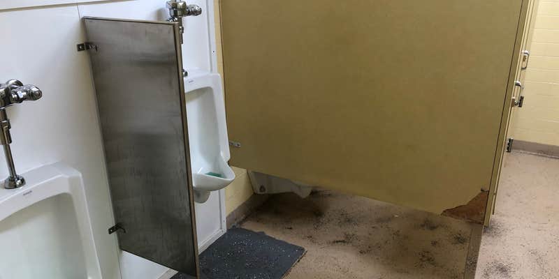 Camper submitted image from Mossyrock Park