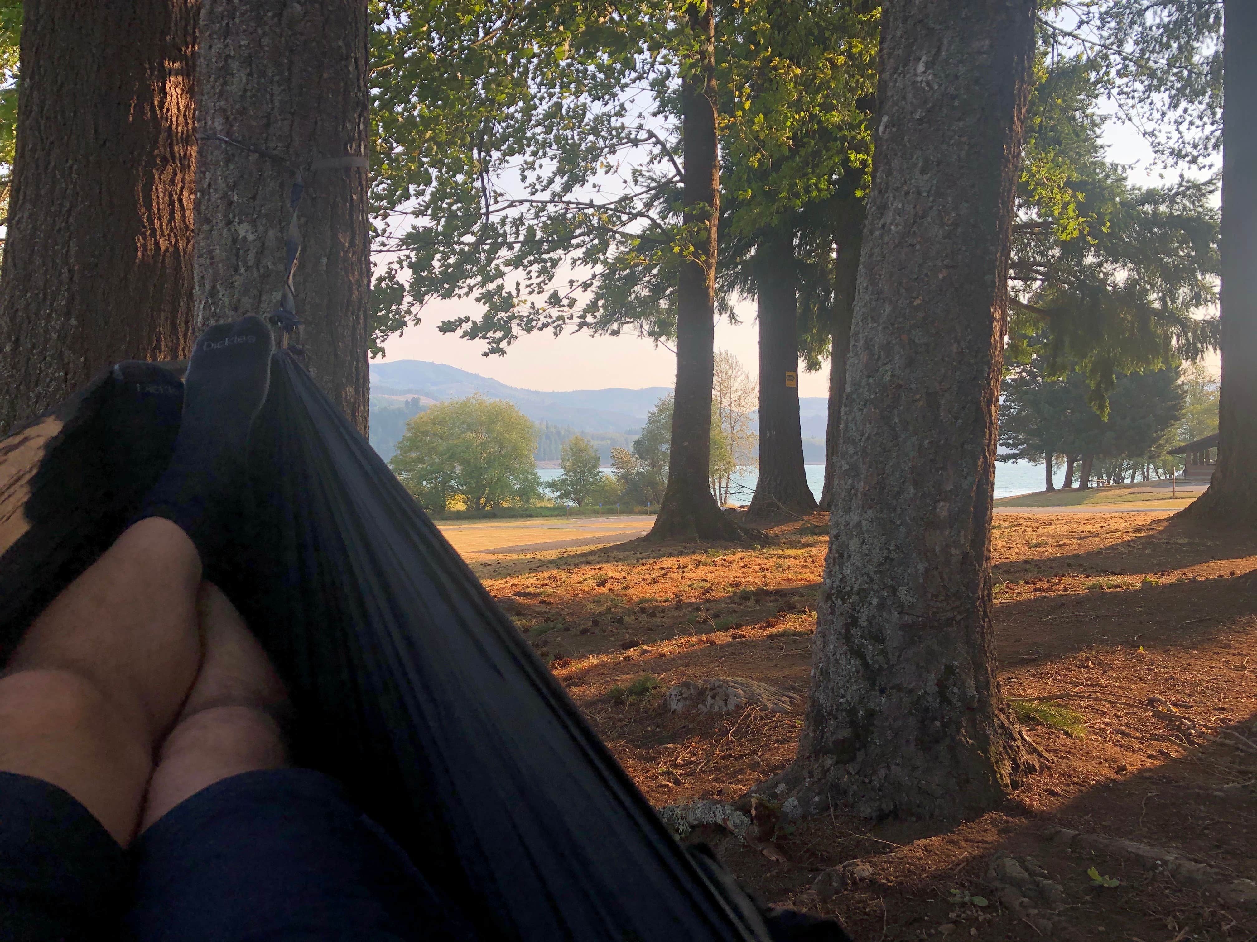 Camper-submitted photo at Mossyrock Park near Mossyrock, WA