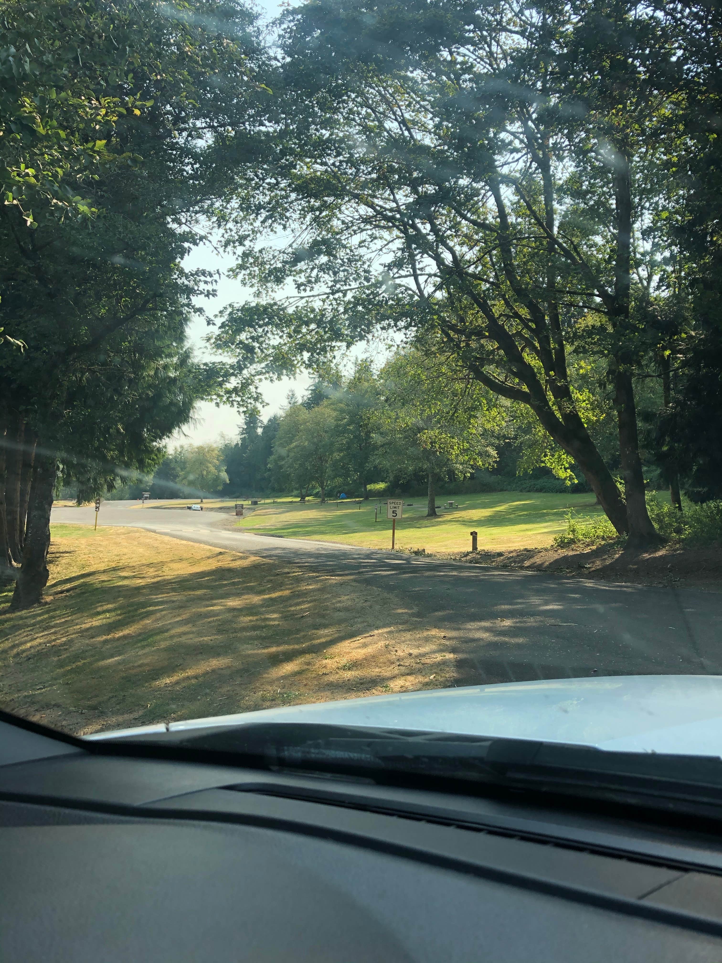 Camper-submitted photo at Mossyrock Park near Mossyrock, WA