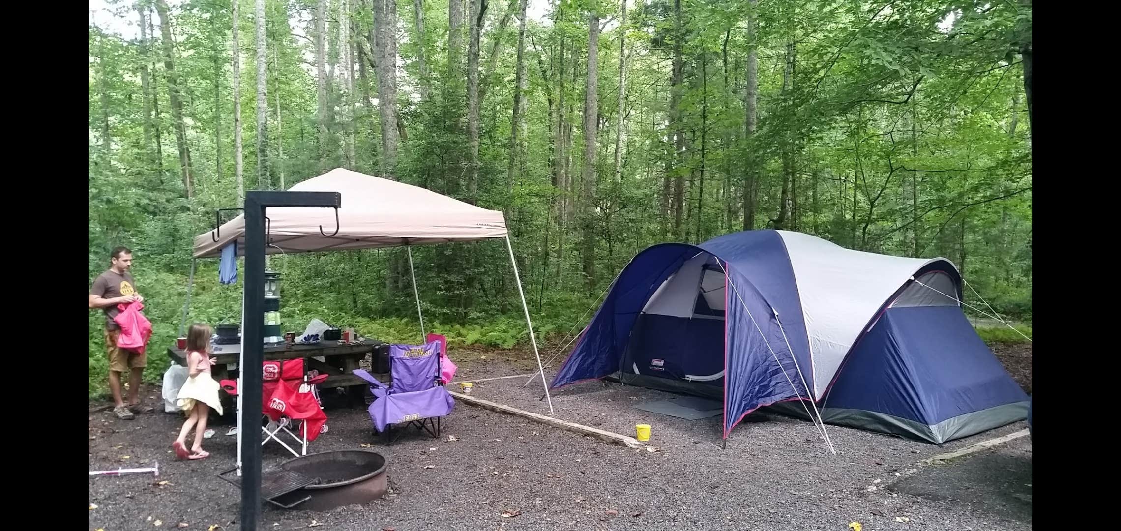 Jess's photo at Davidson River Campground near Pisgah Forest, NC
