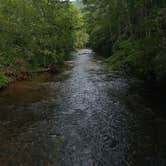 Review photo of Davidson River Campground by Jess , September 10, 2020
