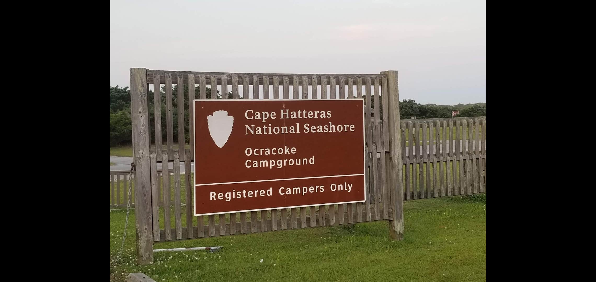 Camper submitted image from Ocracoke Campground — Cape Hatteras National Seashore - 5