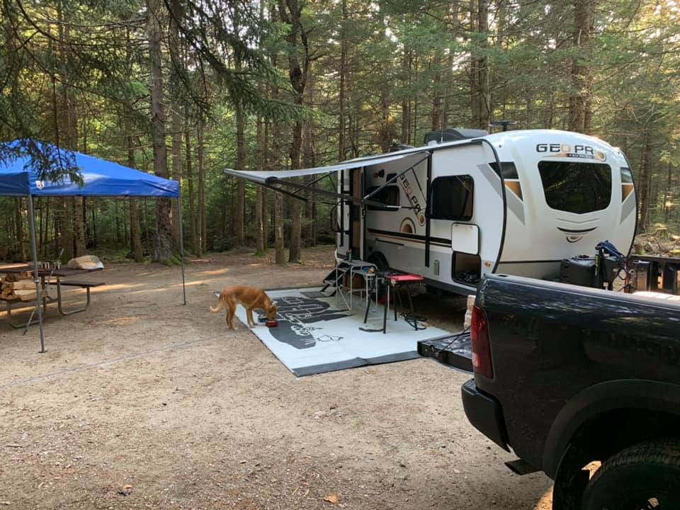 Jamie D.'s photo of camping with pets at Sugarloaf 2 Campground near Randolph, NH