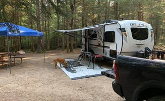 Jamie D.'s photo of camping with pets at Sugarloaf 2 Campground near White Mountain National Forest