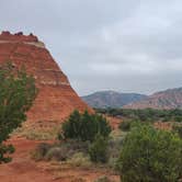 Review photo of Hackberry Campground — Palo Duro Canyon State Park by Alice S., September 10, 2020