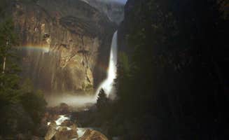 Myles R.'s photo of camping with pets at Hodgdon Meadow Campground — Yosemite National Park near Yosemite Valley, CA
