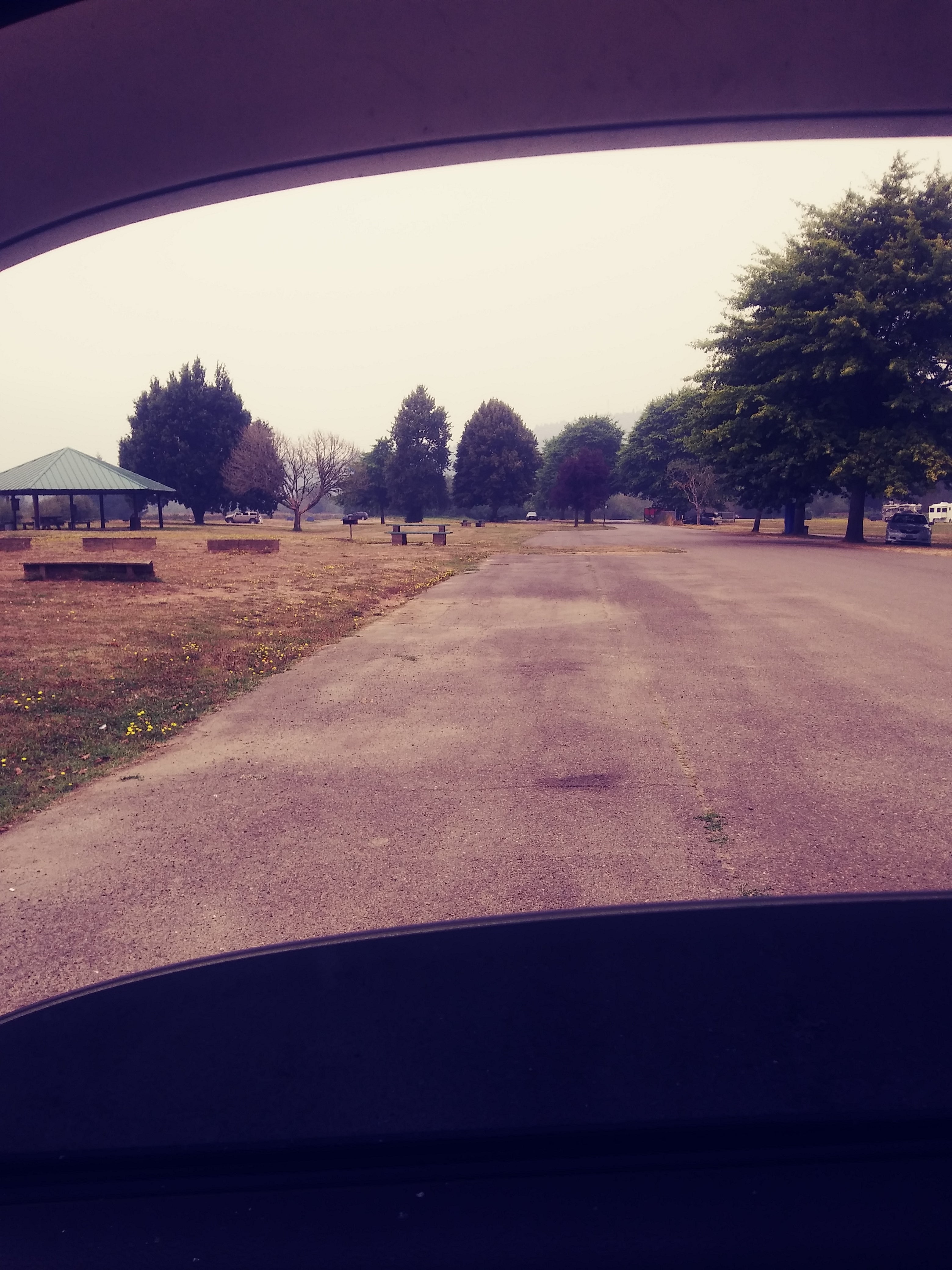 Camper submitted image from Sturdivant Park - 2