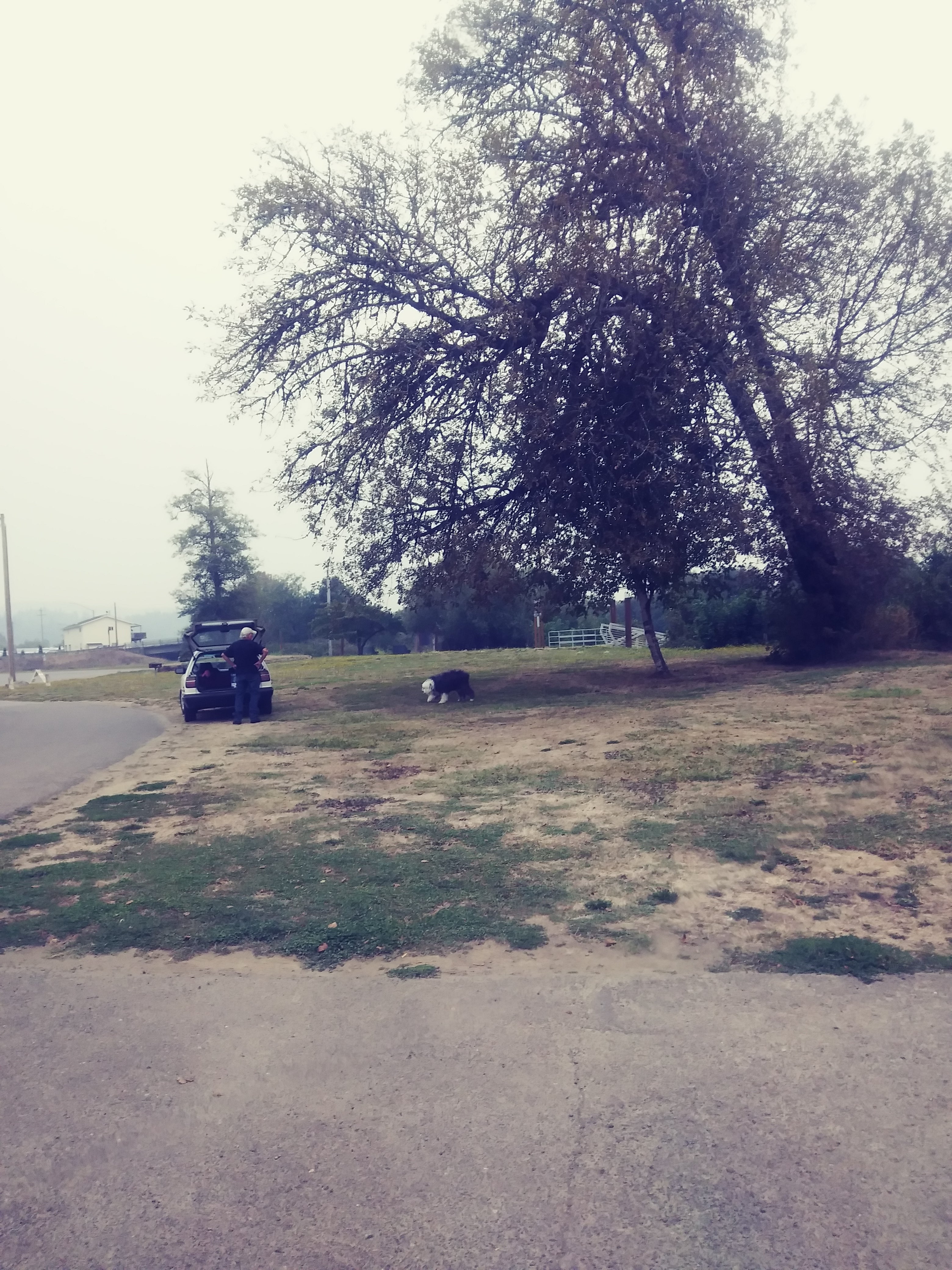 Camper submitted image from Sturdivant Park - 4